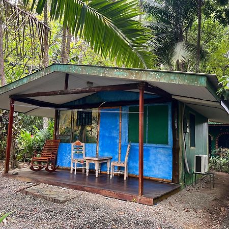Chosa Manglar Suites & Cabins Puerto Jiménez 외부 사진