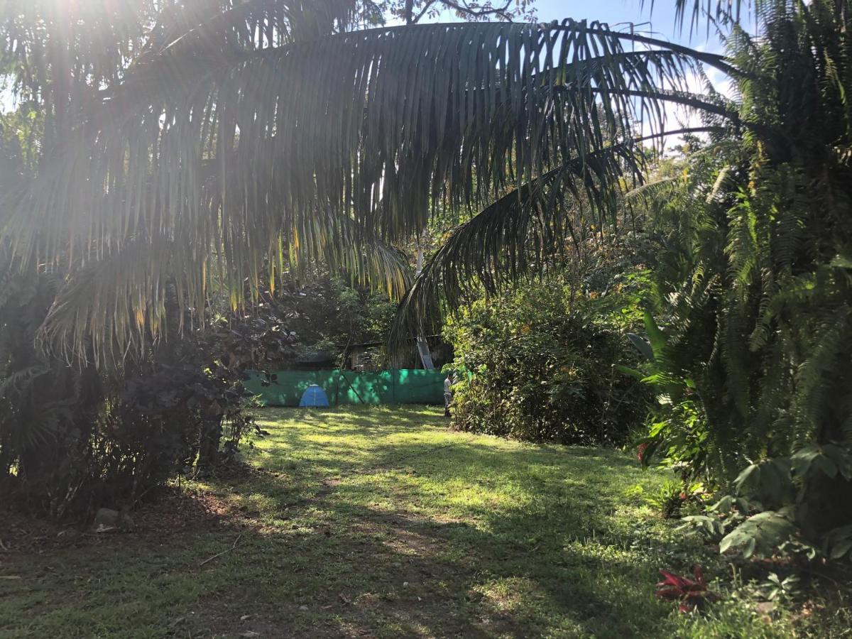 Chosa Manglar Suites & Cabins Puerto Jiménez 외부 사진