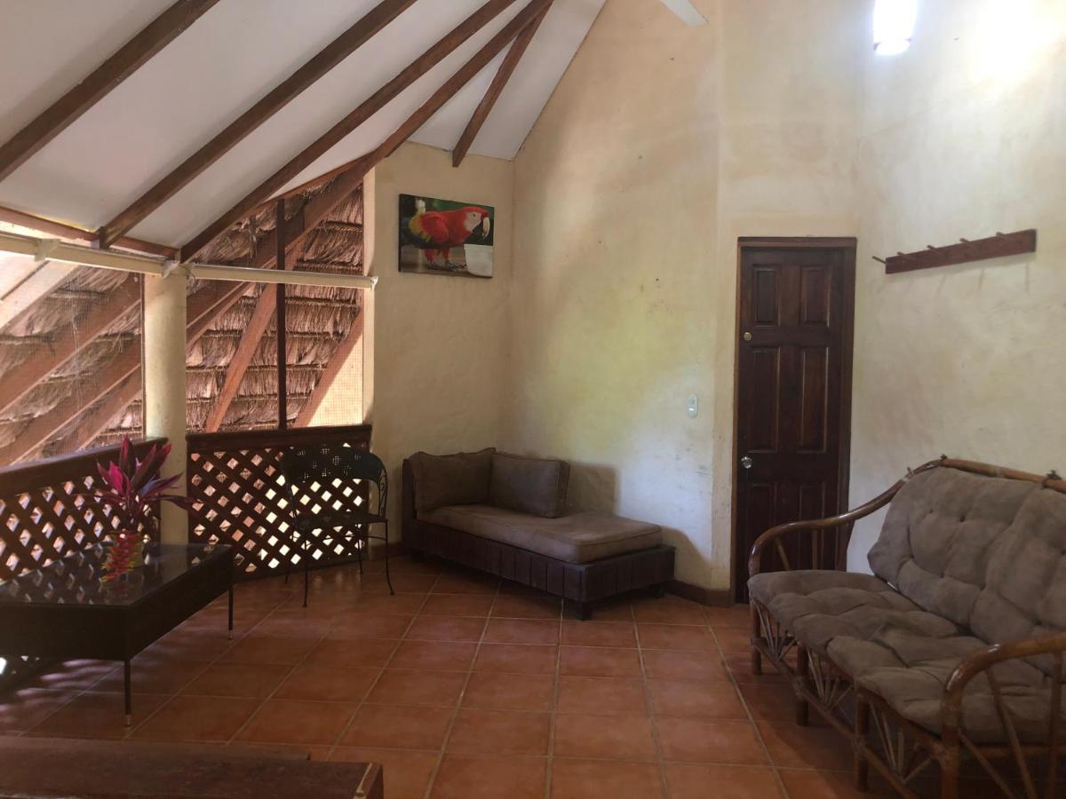 Chosa Manglar Suites & Cabins Puerto Jiménez 외부 사진