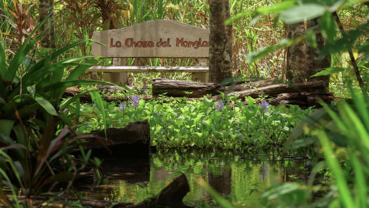 Chosa Manglar Suites & Cabins Puerto Jiménez 외부 사진