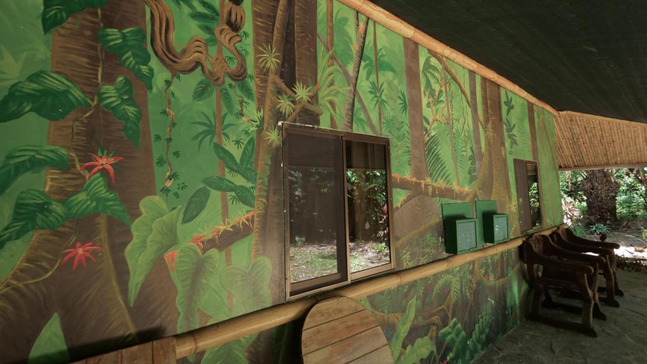 Chosa Manglar Suites & Cabins Puerto Jiménez 외부 사진