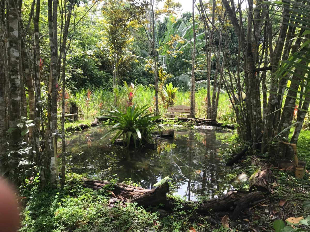 Chosa Manglar Suites & Cabins Puerto Jiménez 외부 사진
