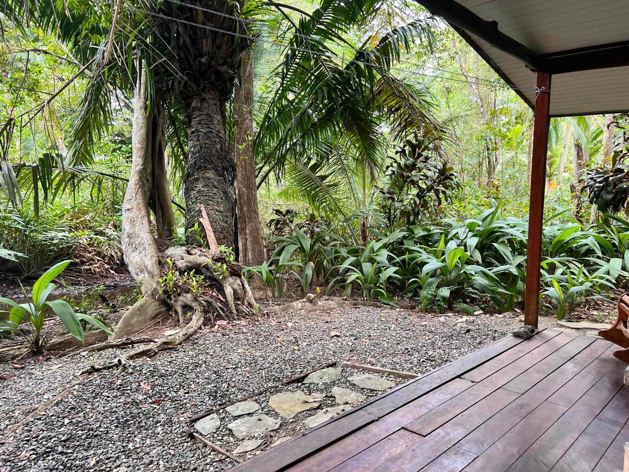 Chosa Manglar Suites & Cabins Puerto Jiménez 외부 사진