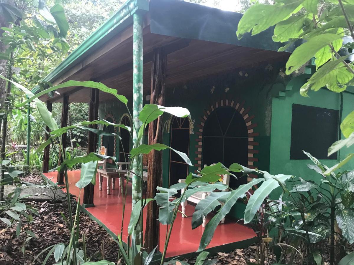 Chosa Manglar Suites & Cabins Puerto Jiménez 외부 사진